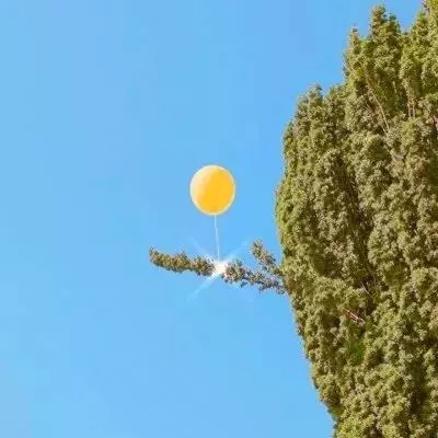 少年悟空传百连抽版下载