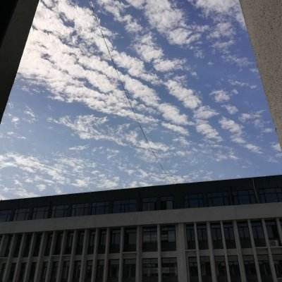 街球联盟内购破解版下载